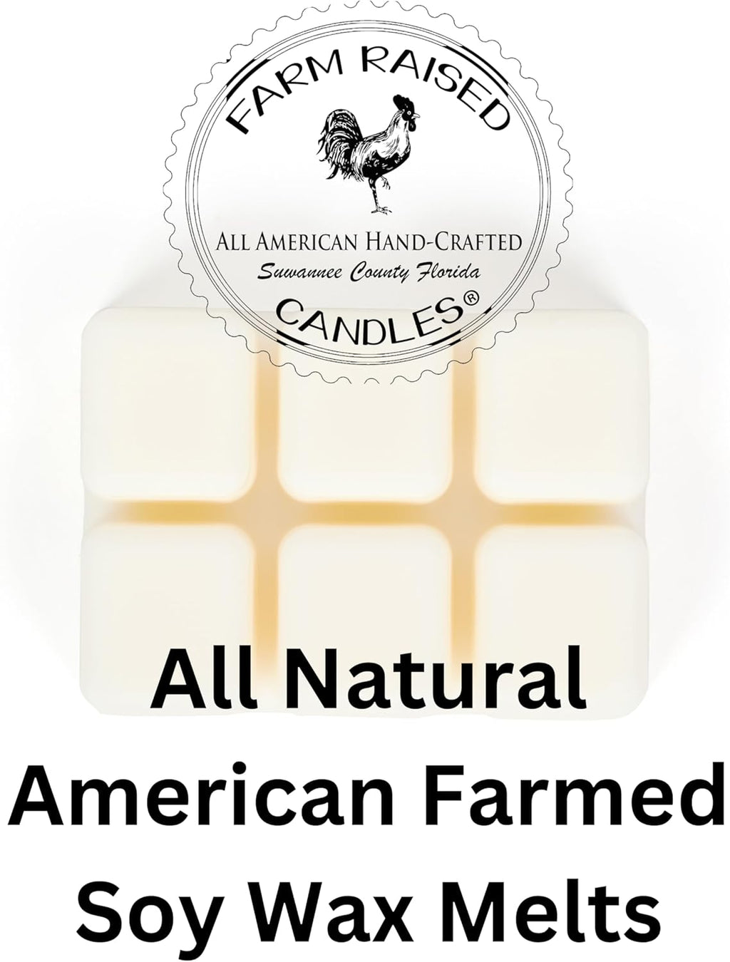 Farm Raised Candles - Navy Gift - Christmas Holiday Fleet 5-Pack Wax Melts – 3oz Each – All-American Soy Wax – Operation Engraved Honor Sailor Charity Pack