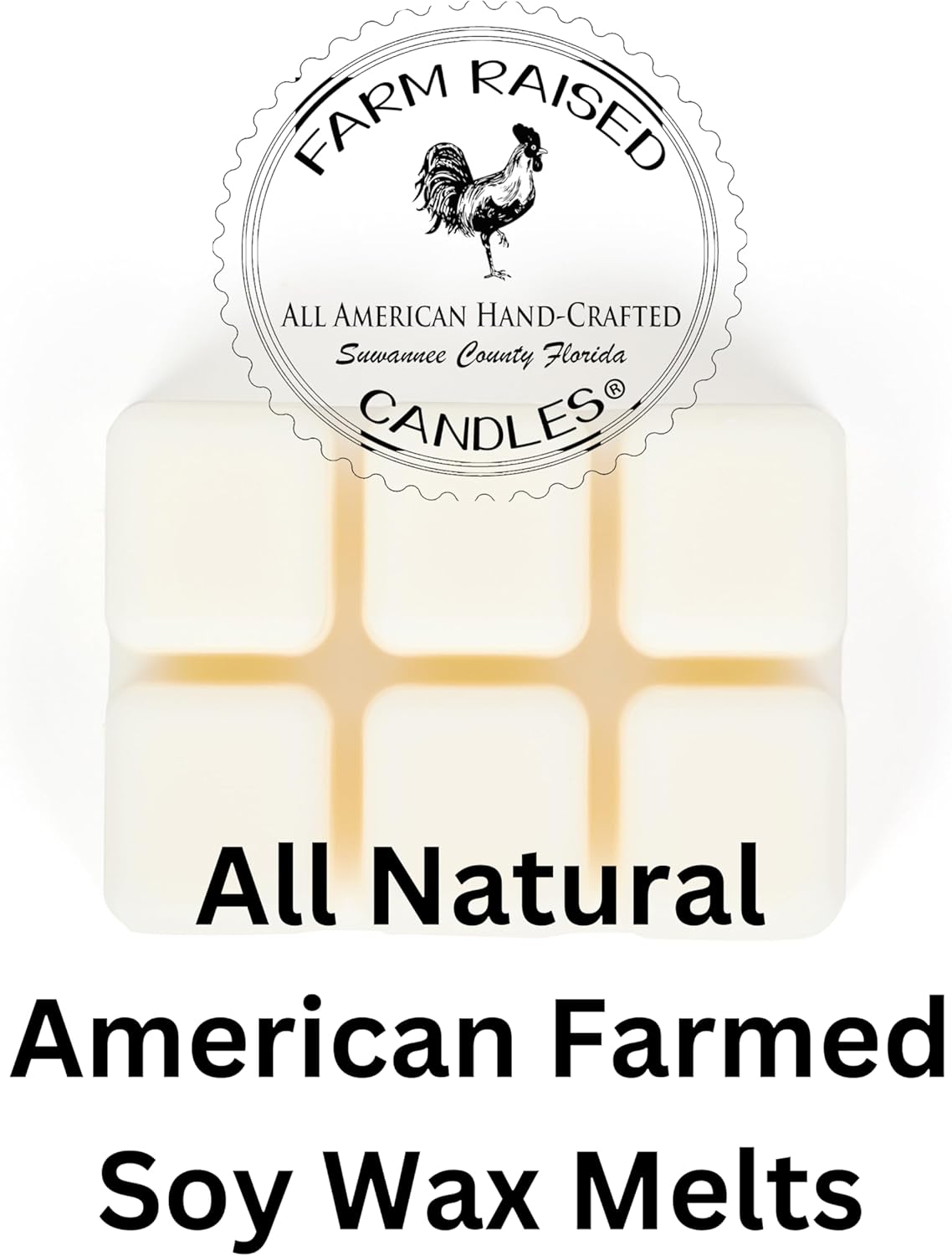 Farm Raised Candles - Navy Gift - Christmas Holiday Fleet 5-Pack Wax Melts – 3oz Each – All-American Soy Wax – Operation Engraved Honor Sailor Charity Pack