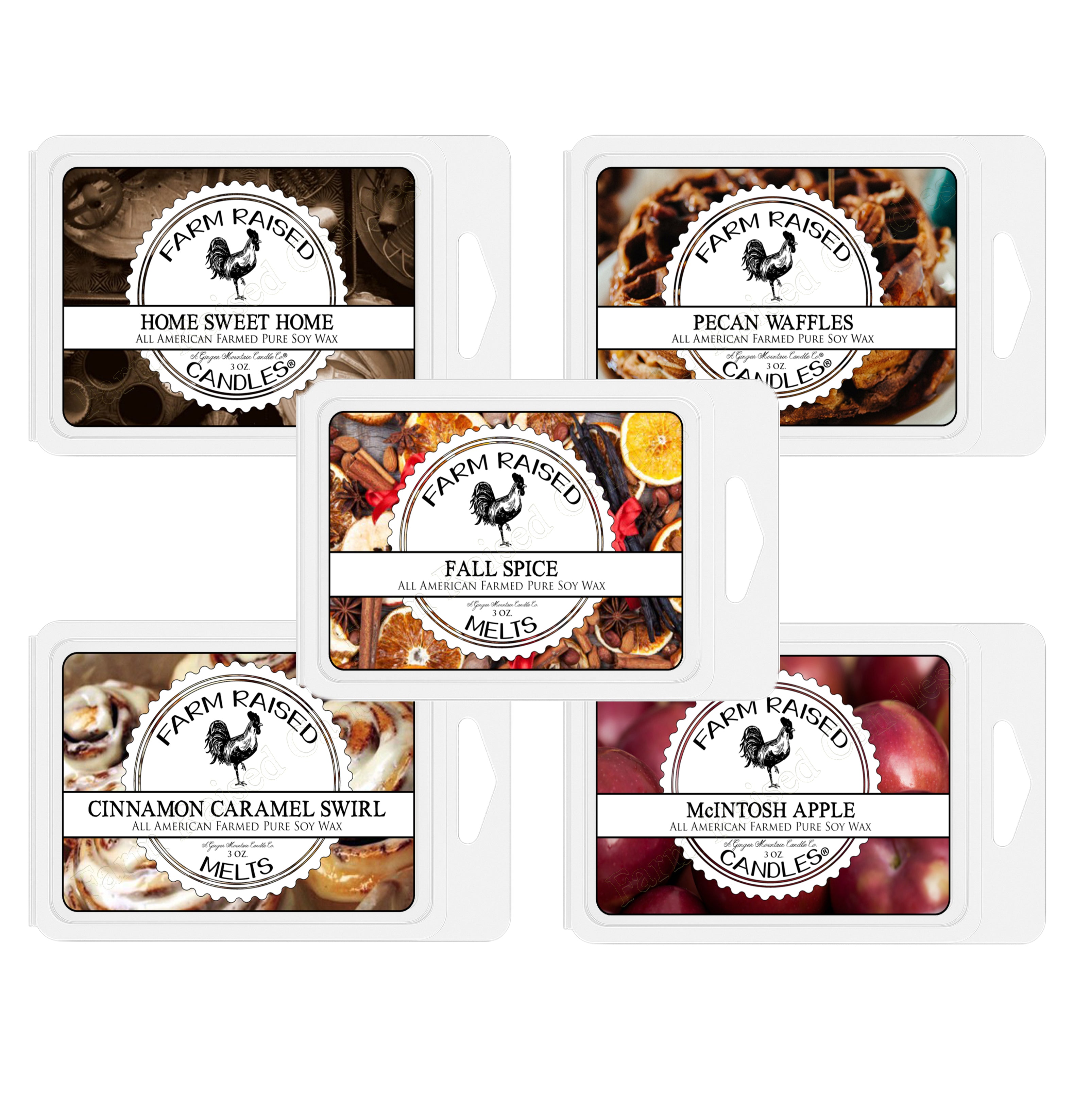 Fall Spice.  Scented Wax Warmer Melts - By Farm Raised Candles - 5 Pack Variety - 100% Plant Based All Natural American Framed Wax