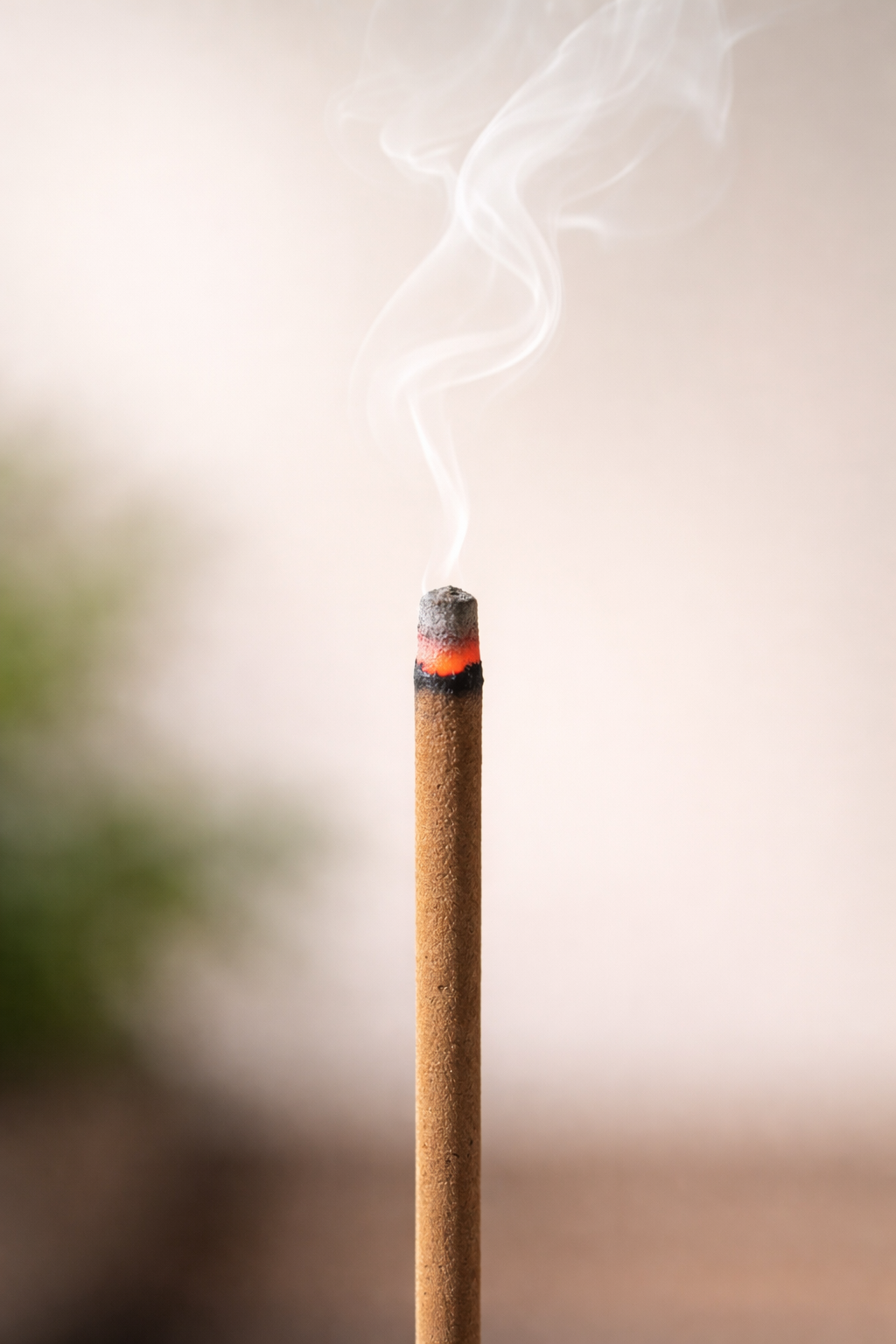 Mintronella Wholesale Mosquito, Gnat & Fly Repellent Sticks – 100 Pack | Florida Hand-Crafted Outdoor Repellent for Patios & Camping